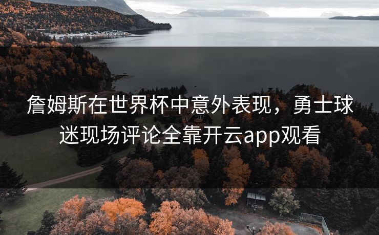 詹姆斯在世界杯中意外表现，勇士球迷现场评论全靠开云app观看