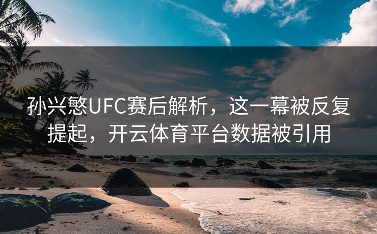 孙兴慜UFC赛后解析，这一幕被反复提起，开云体育平台数据被引用